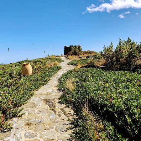 Isla Privada En Cadaques De Ensueno Con 11 Habitaciones Dobles Con Bano Privado Y Piscina Exterior foto