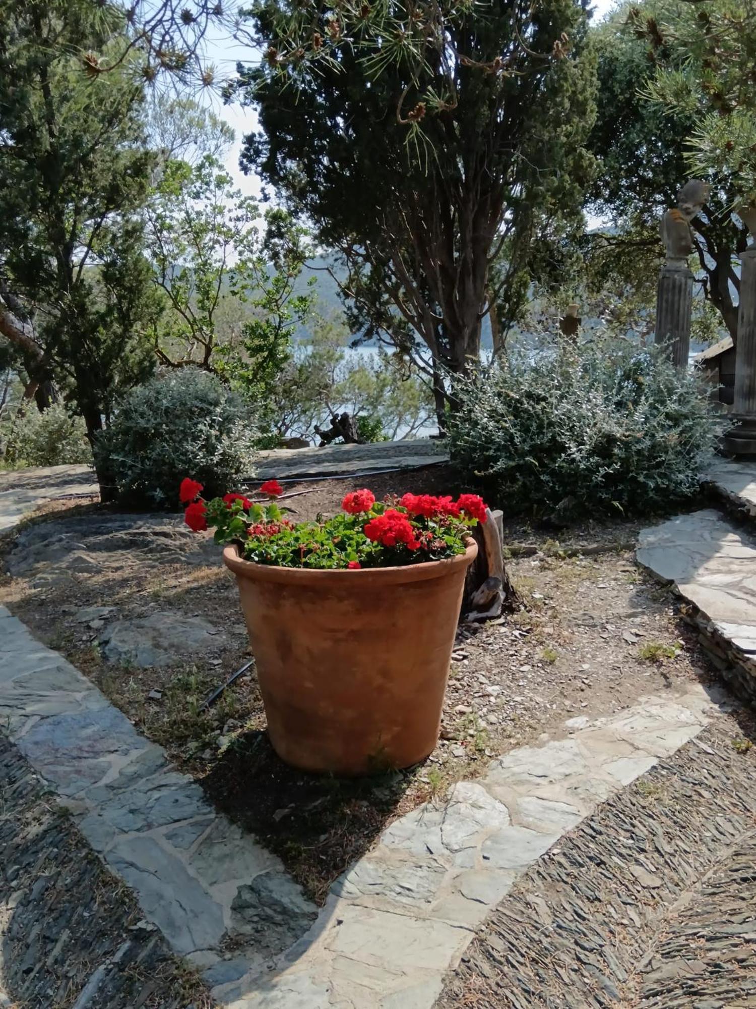Isla Privada En Cadaques De Ensueno Con 11 Habitaciones Dobles Con Bano Privado Y Piscina Exterior foto