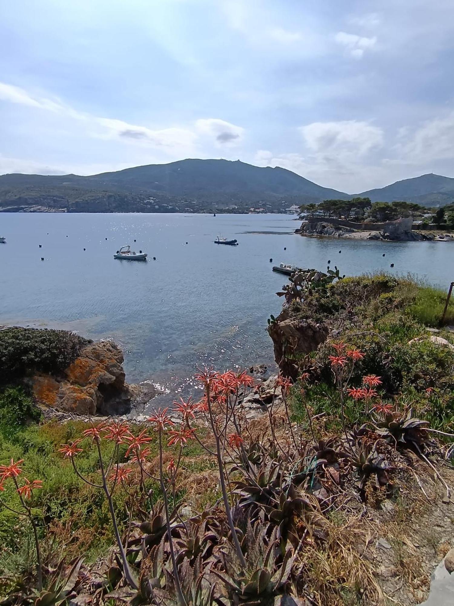 Isla Privada En Cadaques De Ensueno Con 11 Habitaciones Dobles Con Bano Privado Y Piscina Exterior foto