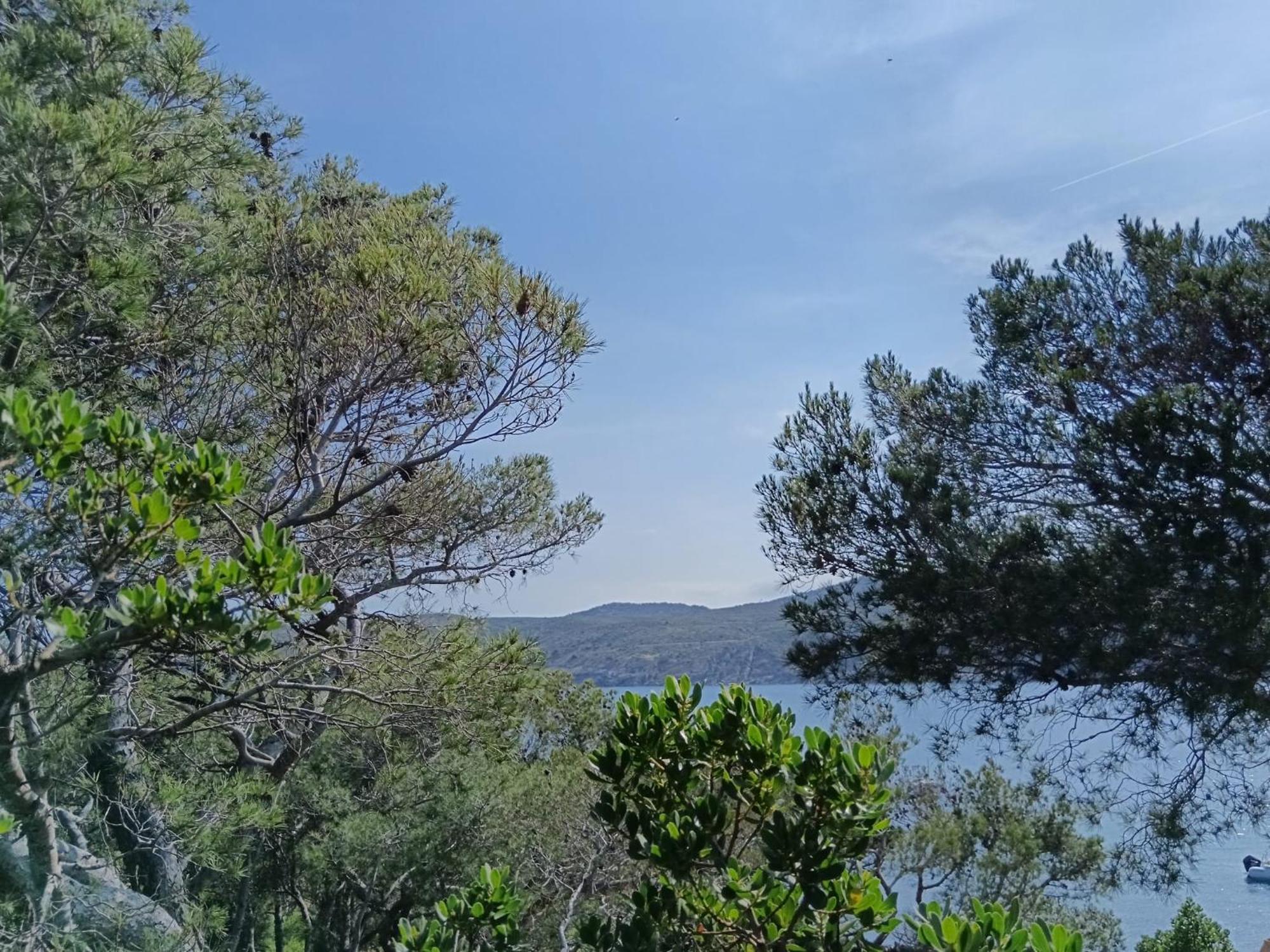 Isla Privada En Cadaques De Ensueno Con 11 Habitaciones Dobles Con Bano Privado Y Piscina Exterior foto